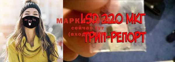 амф Аркадак