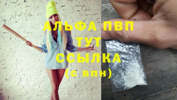 амф Аркадак